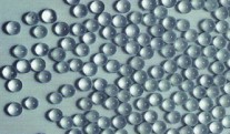 The production of microglass balls was launched near Bryansk.