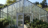 Japanese greenhouses may appear in the suburbs
